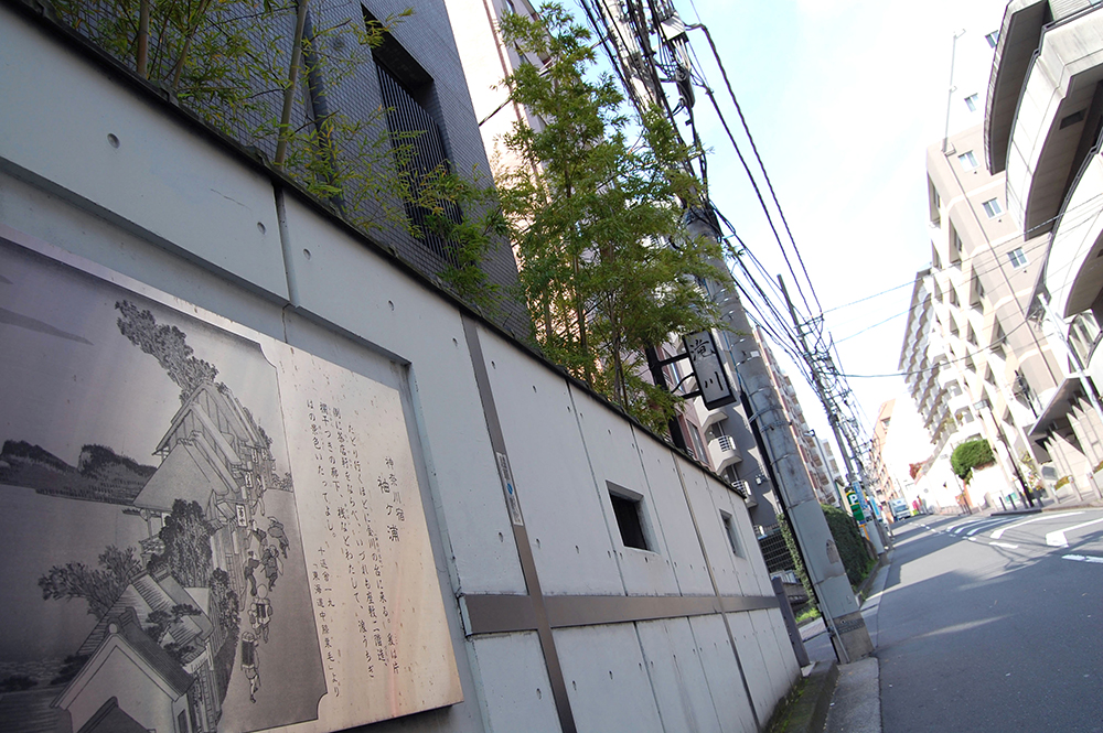 【5日目】ほどよく保土ヶ谷通り過ぎ、戸塚にとっつかまらずに藤沢へ。
